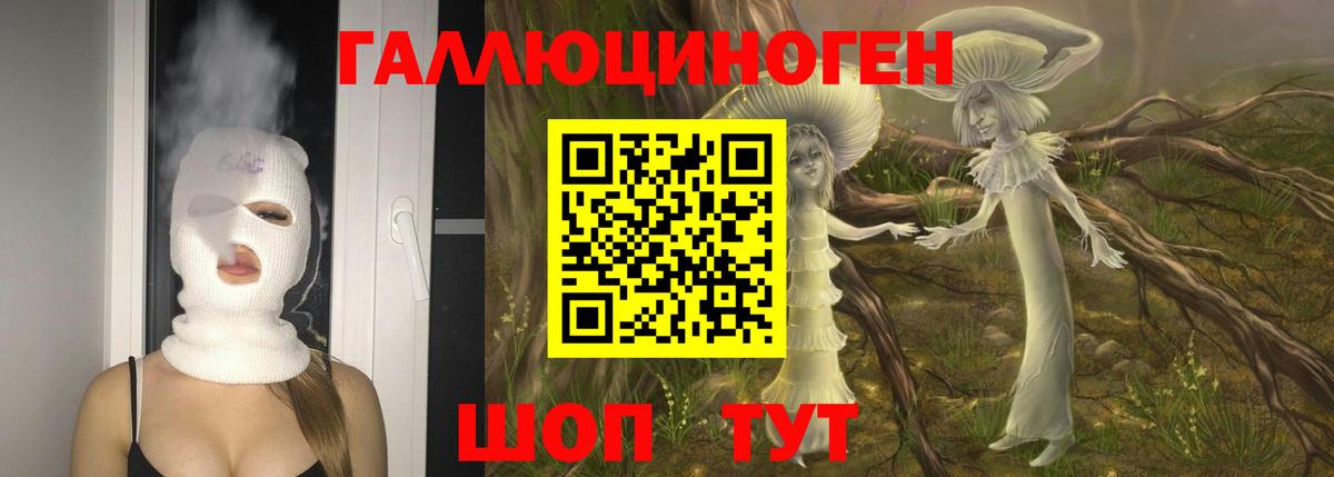 Галлюциногенные грибы Psilocybe  Псилоцибиновые грибы Psilocybe  Майкоп  Вход с VPN 
